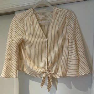 Striped Silk Shirt with Front Tie